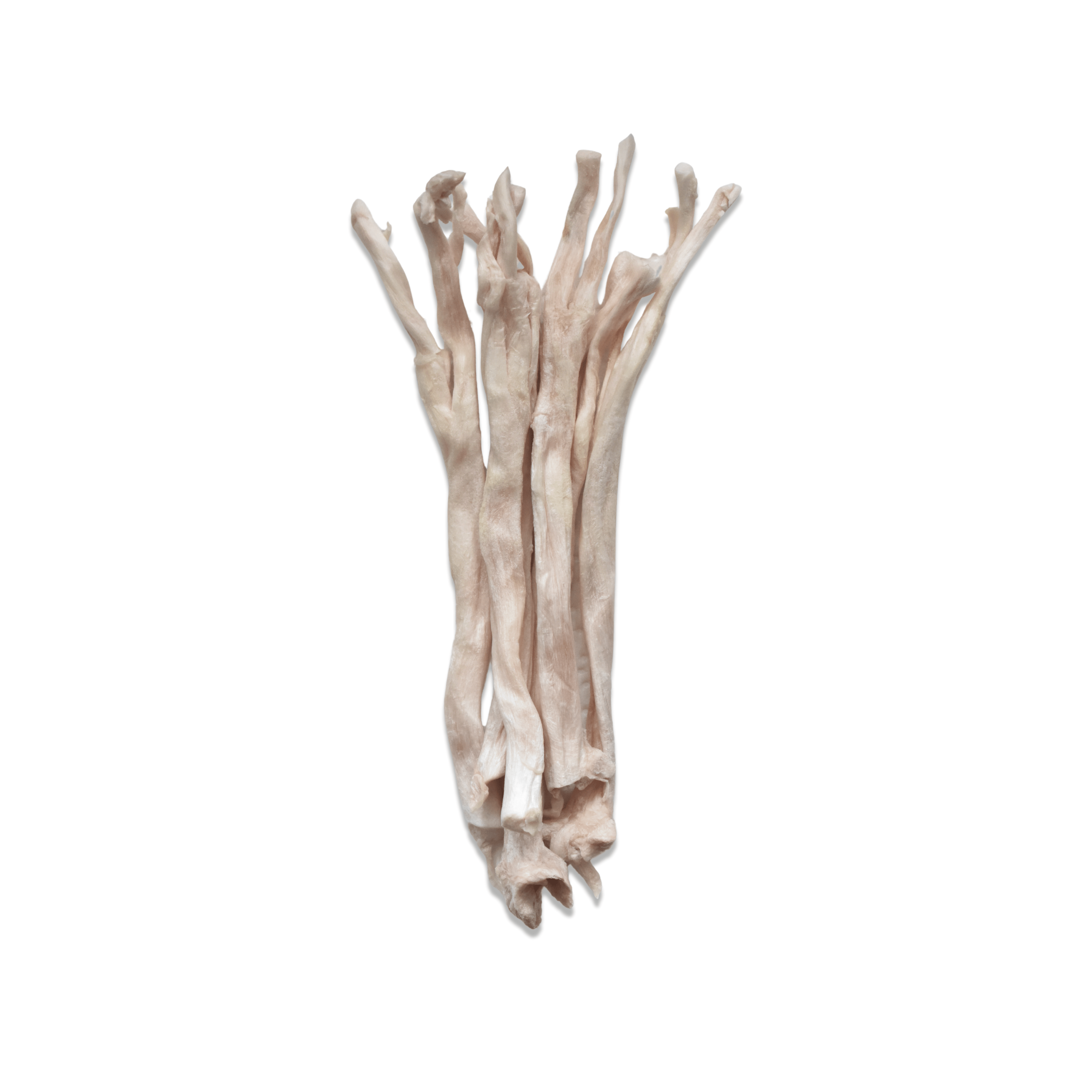 Freeze-Dried Pork Tendons