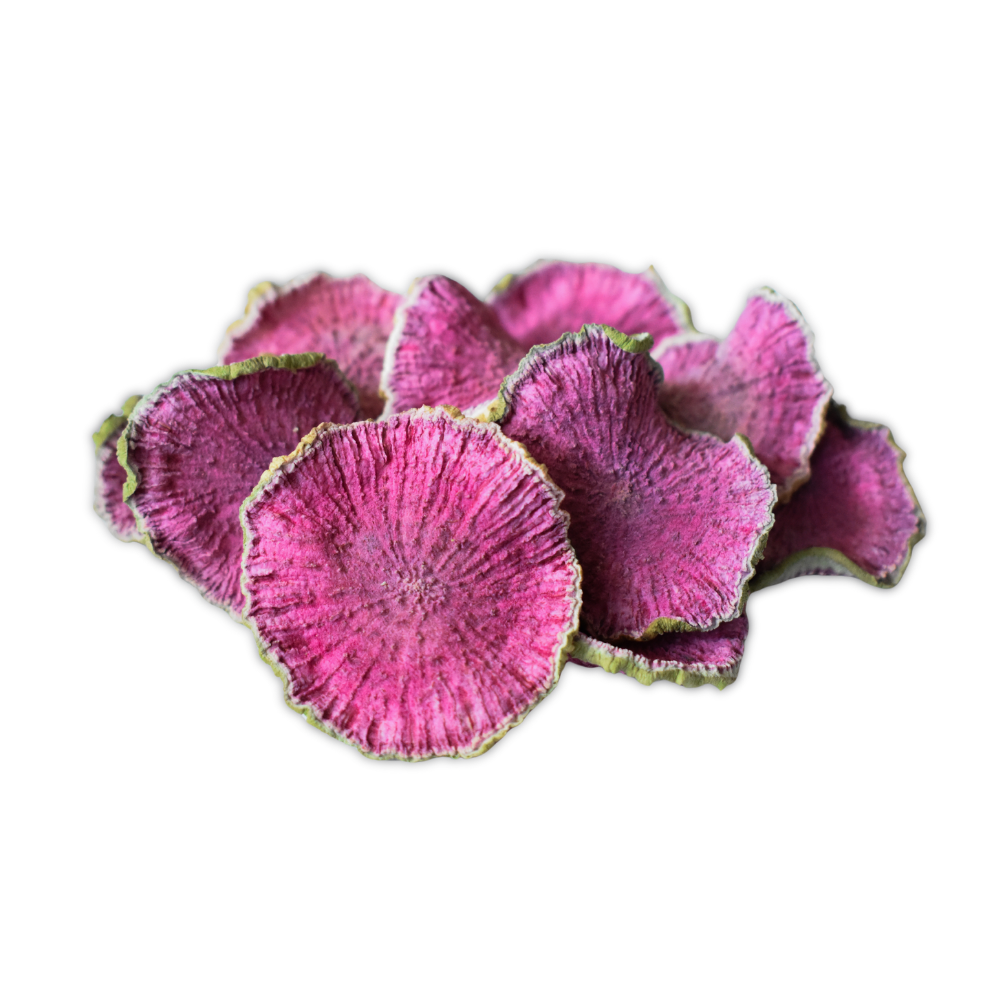 Watermelon Radish