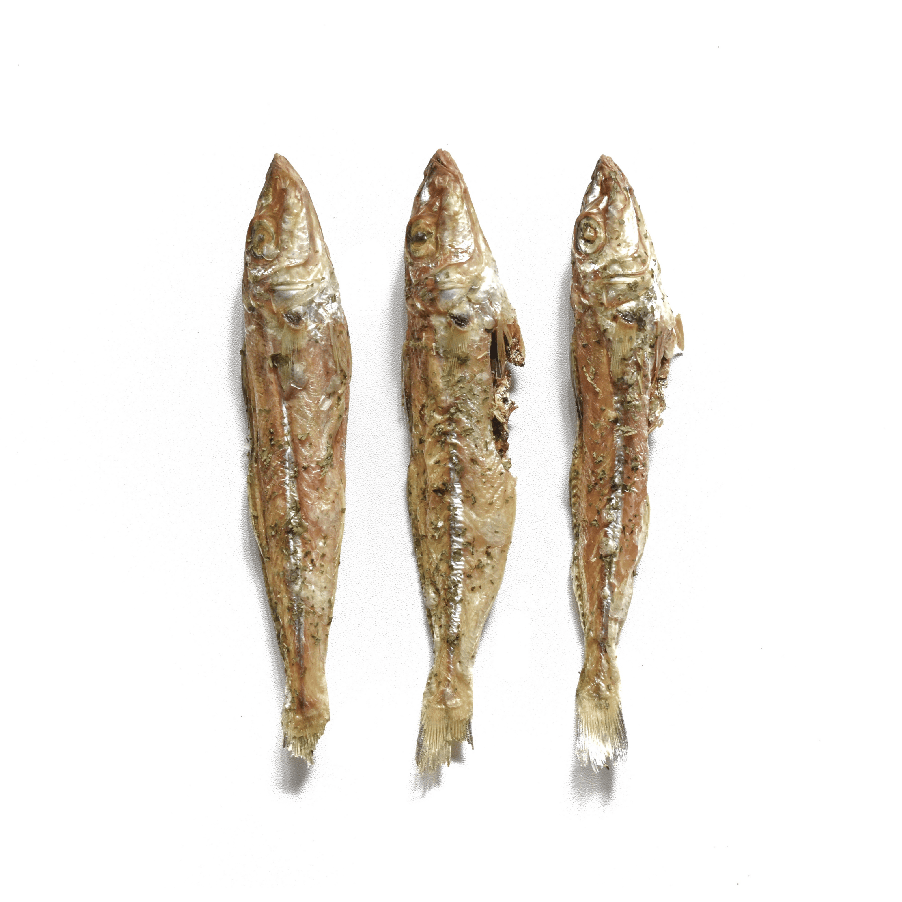 Wild Silver Whiting