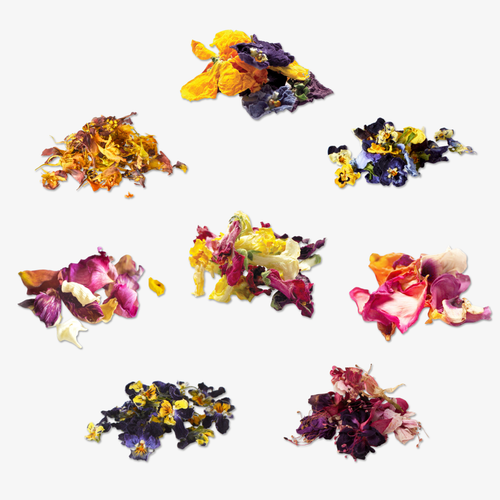 Bloom Box