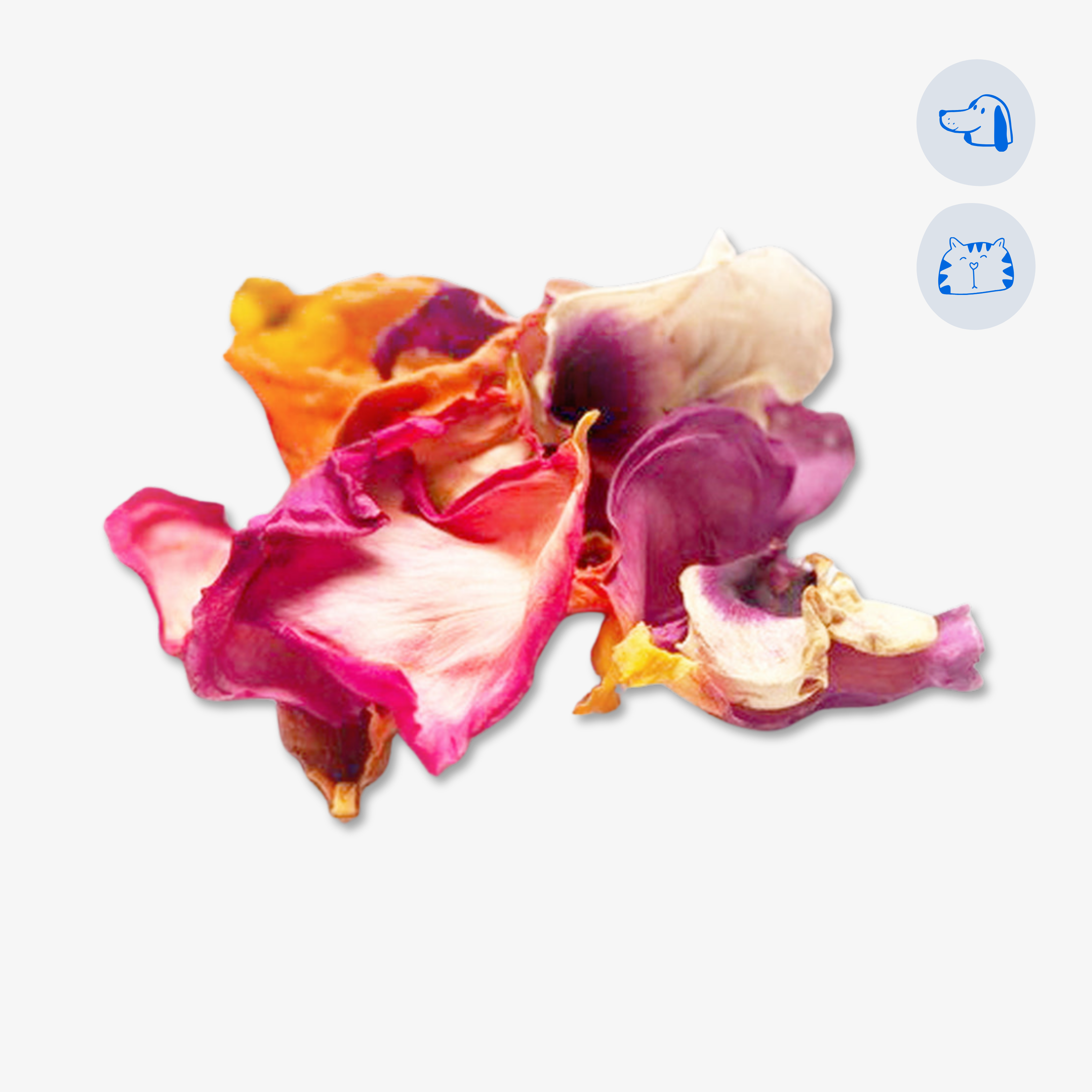 Rose Petals Pink