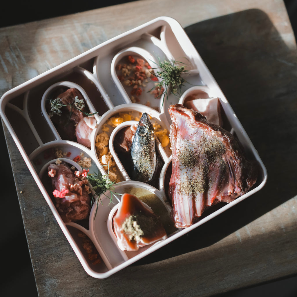 Brewin Aussie Co. Arco Feeder | Limestone