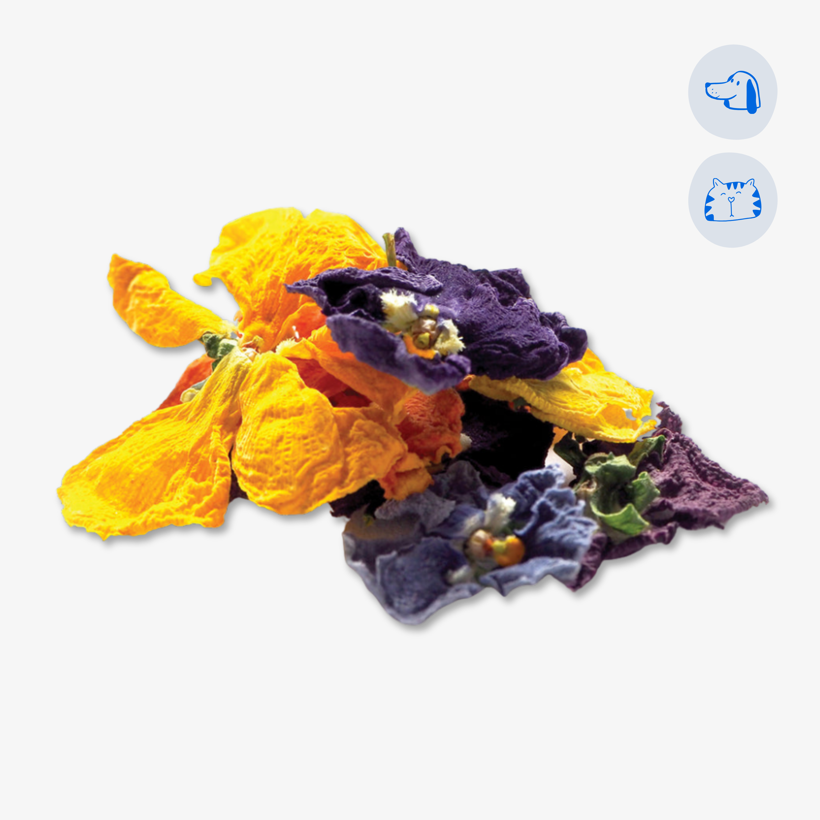 Pressed Pansy