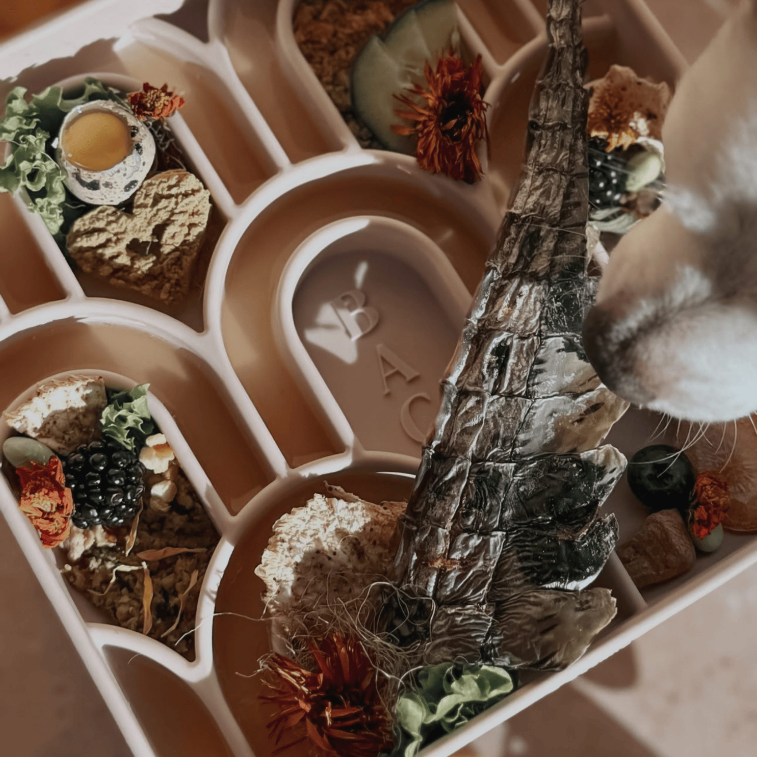 Brewin Aussie Co. Arco Feeder | Limestone