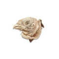 Freeze-Dried Chicken Head
