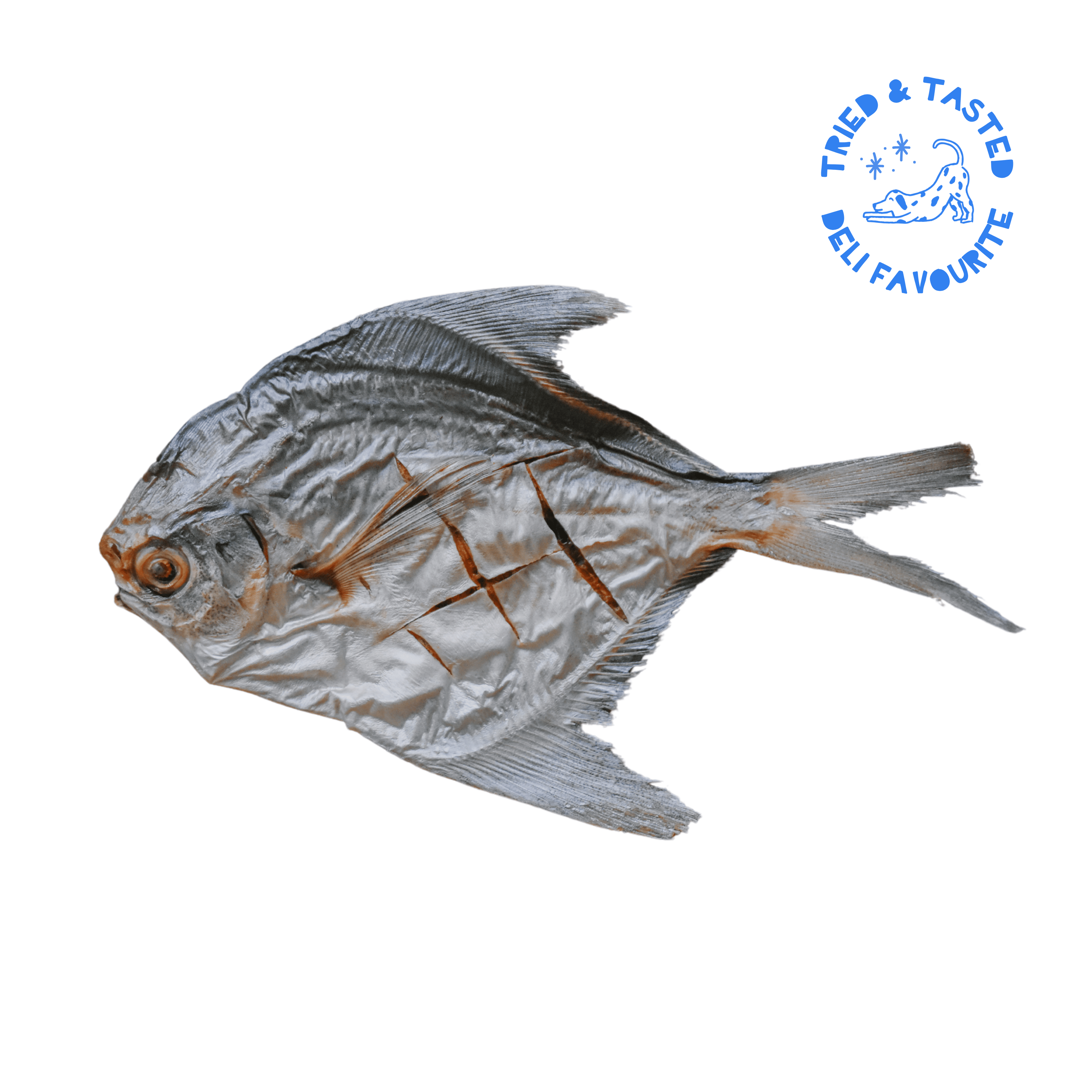 Wild Baby Pomfret