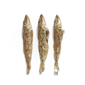 Wild Silver Whiting